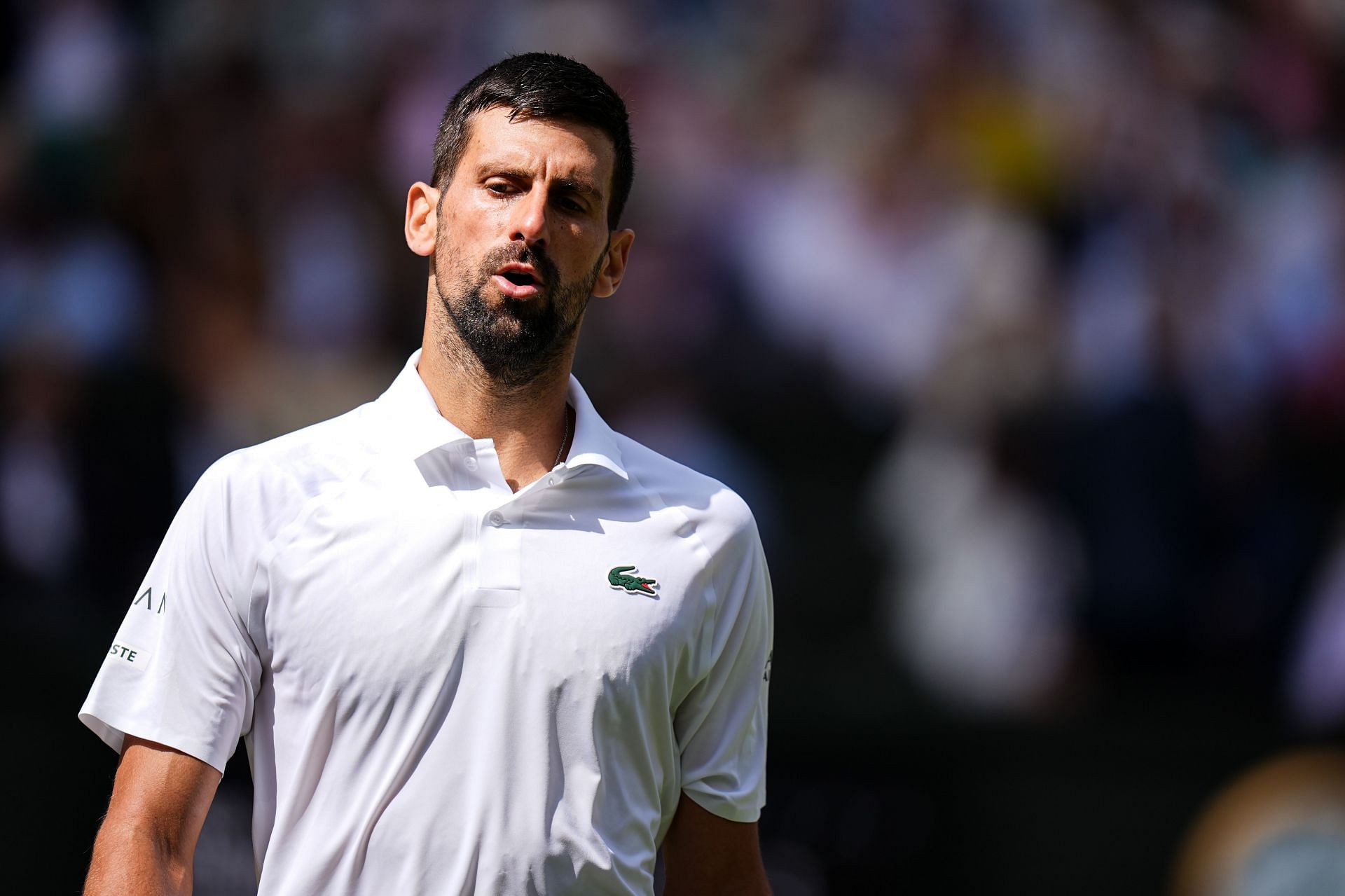 Novak Djokovic at the 2025 Wimbledon Championships (Source: Getty)
